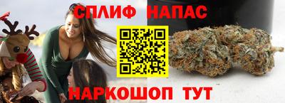 СК Железноводск
